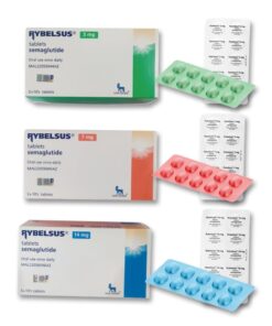Purchase Rybelsus 7 Mg In England