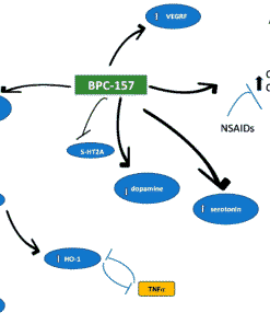 What Are The Benefits Of Taking Bpc157